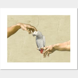 scritching an african grey #full Posters and Art